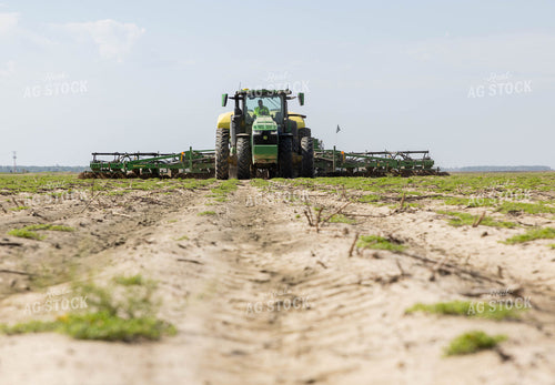 Planting 79628