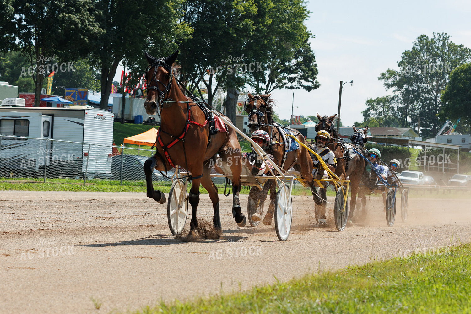 Harness Racing 52931