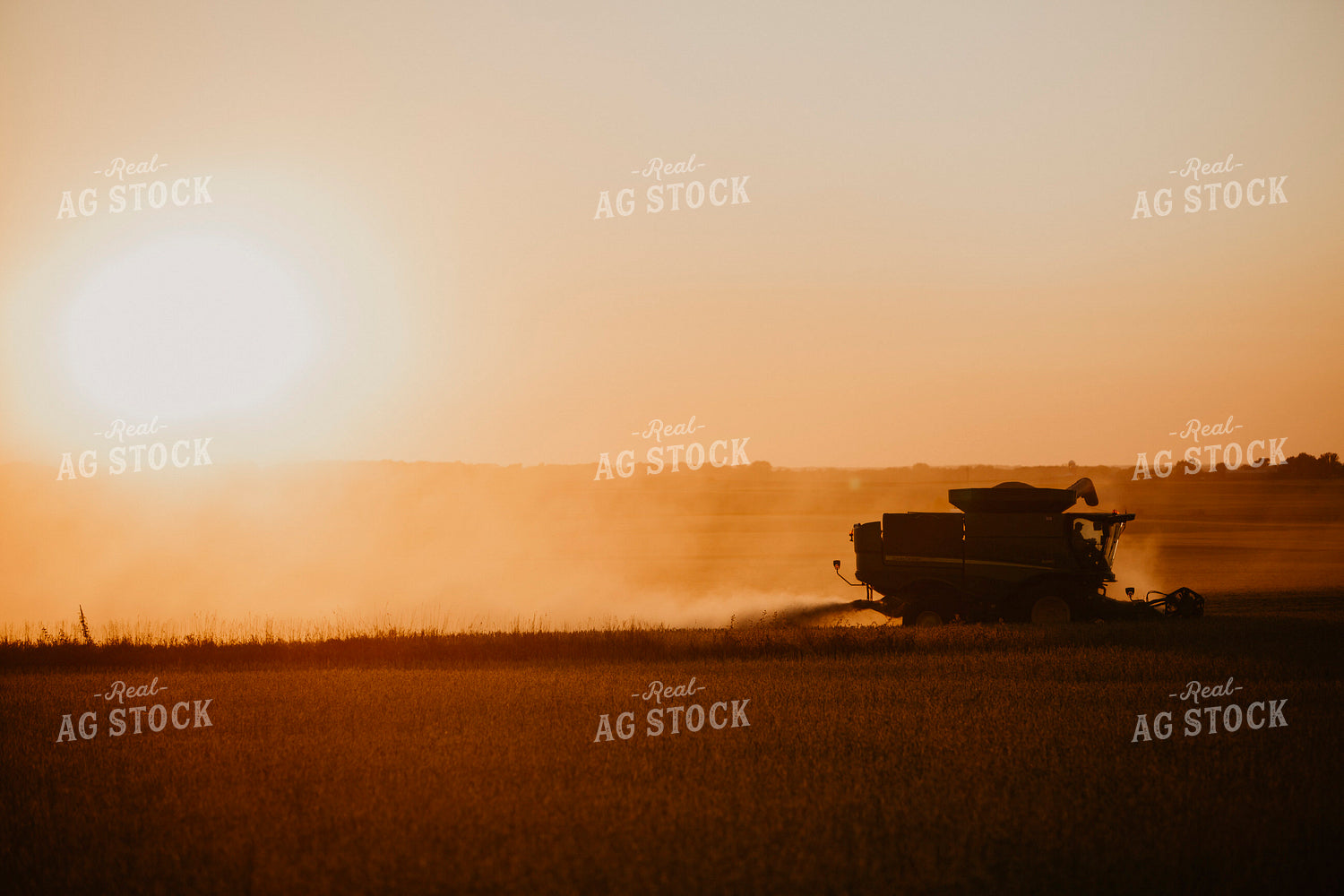 Harvest 2598