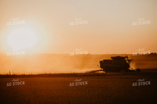 Harvest 2598