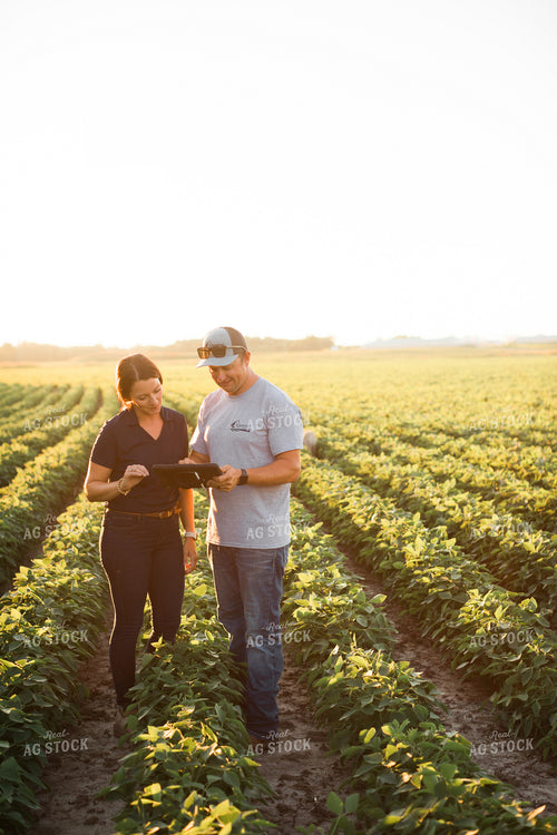 Agronomist and Farmer in Soybean Field Looking at Tablet 6111