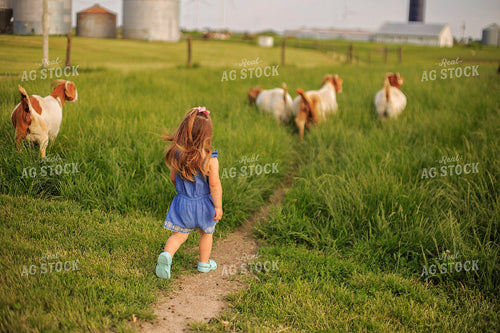 Farm Kid Walking With Goats 93149