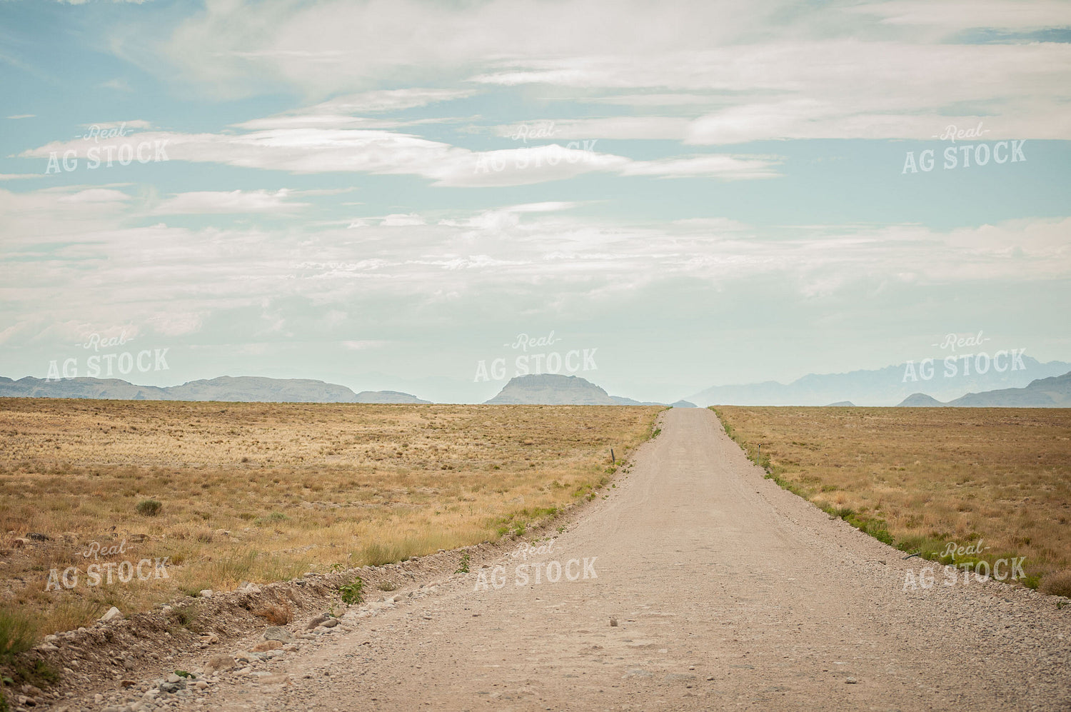 Southwestern Rural Road 59014