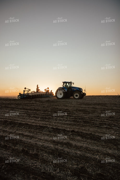 Planting 67714
