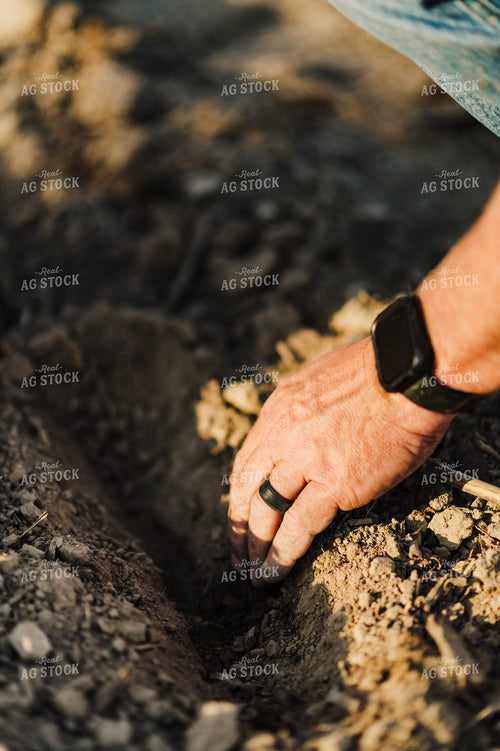 Close Up of Farmer's Hand Checking Seed Depth 115069