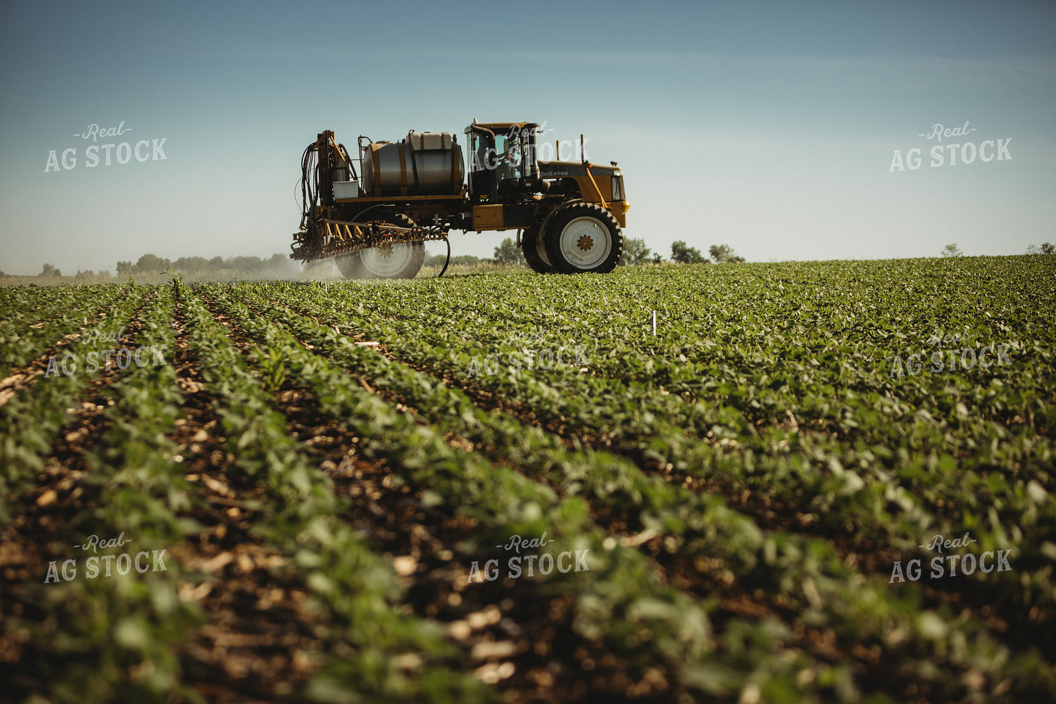 Spraying Soybeans 4362