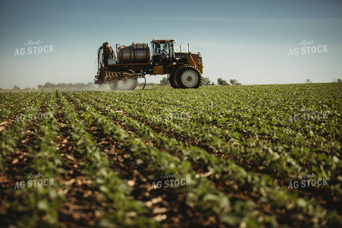 Spraying Soybeans 4362
