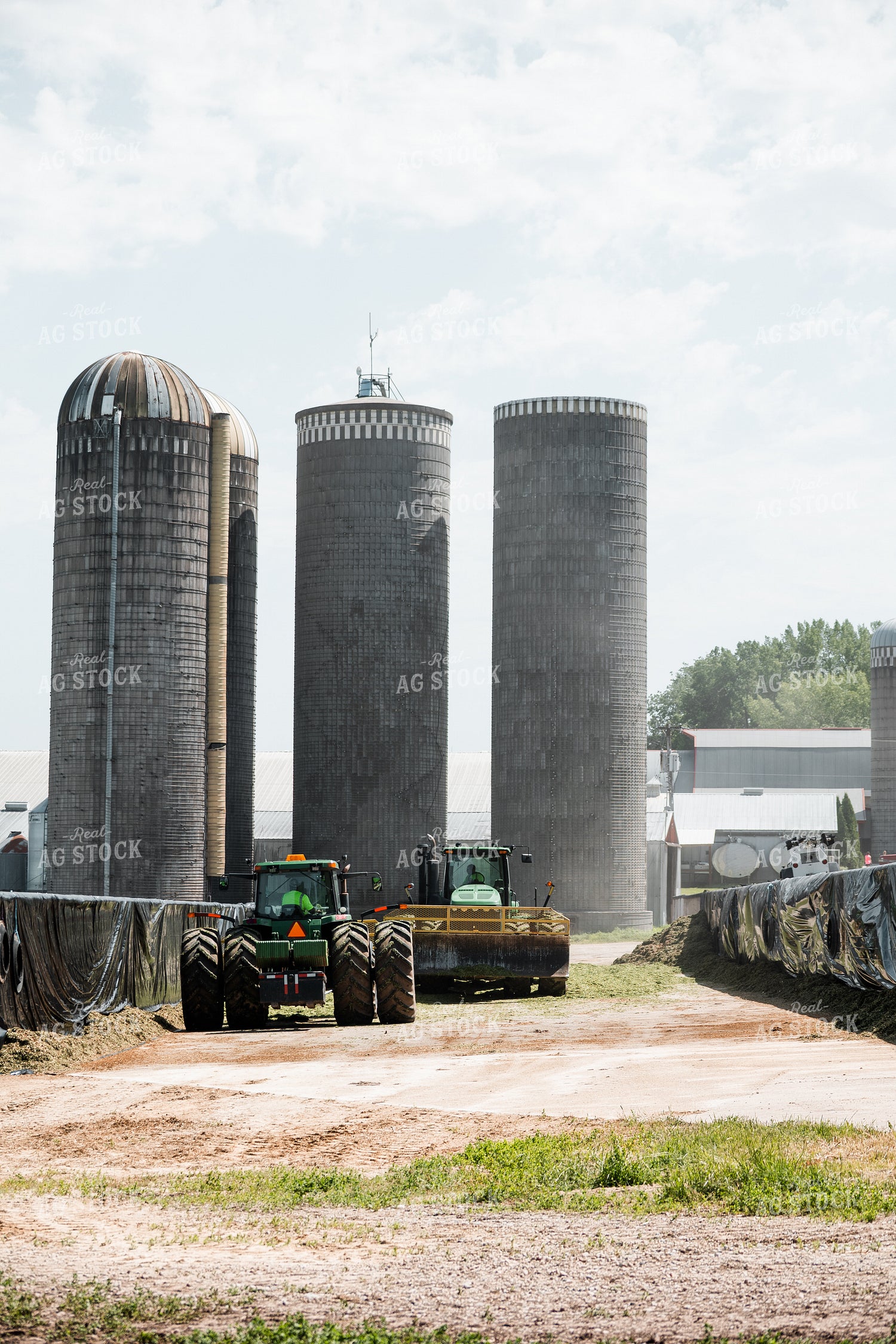 Storing Corn Silage 272042