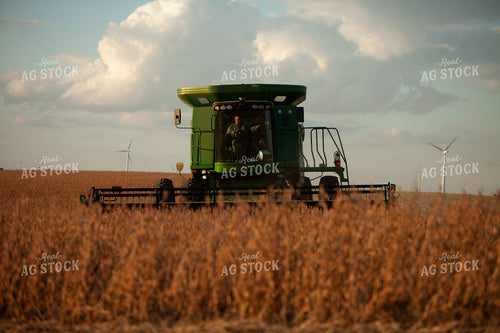 Harvest 1803
