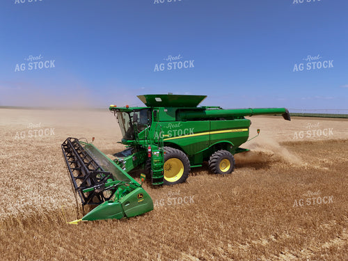 Wheat Harvest 239271