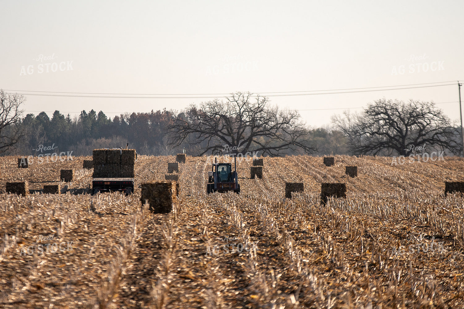 Loading Corn Bales 50449