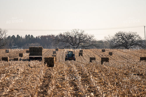 Loading Corn Bales 50449