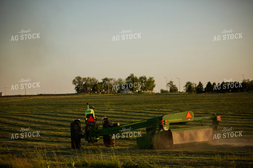 Cutting Hay 4959