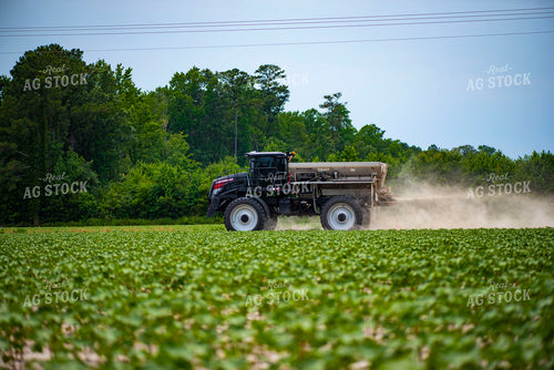 Spreading Dry Fertilizer in Cotton Field 136214