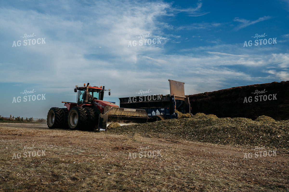 Unloading and Packing Silage 196372