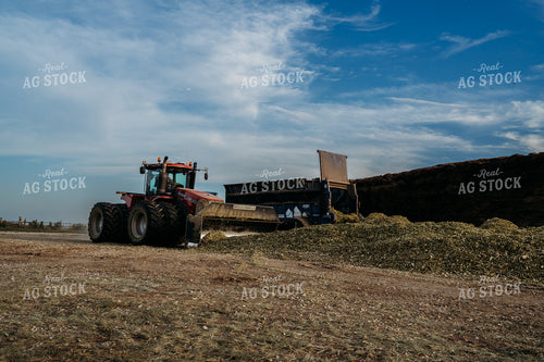 Unloading and Packing Silage 196372