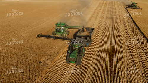 Wheat Harvest 187289