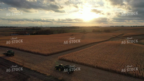 Aerial of Corn Harvest 250032