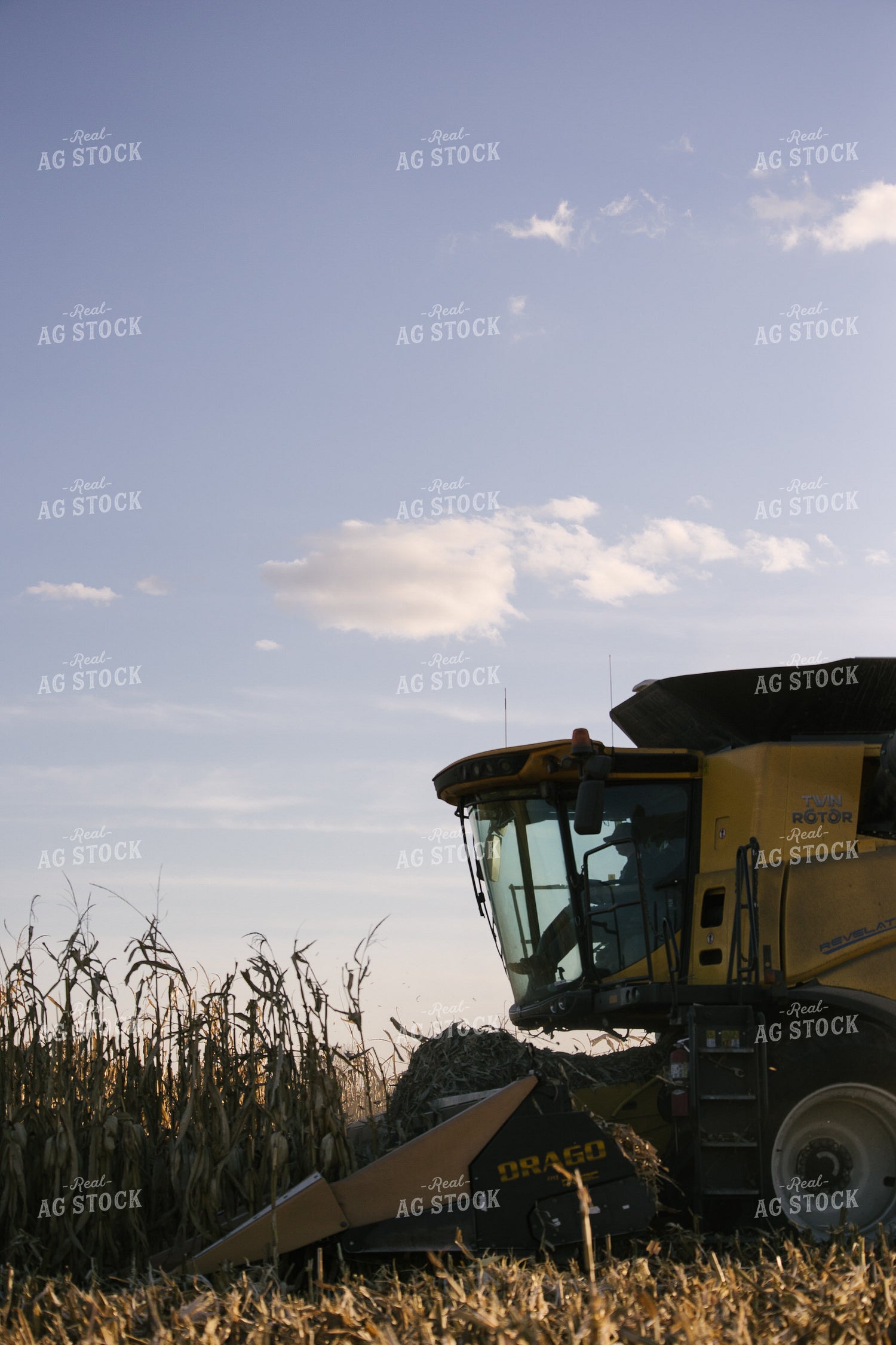 Nebraska Corn Harvest 70029