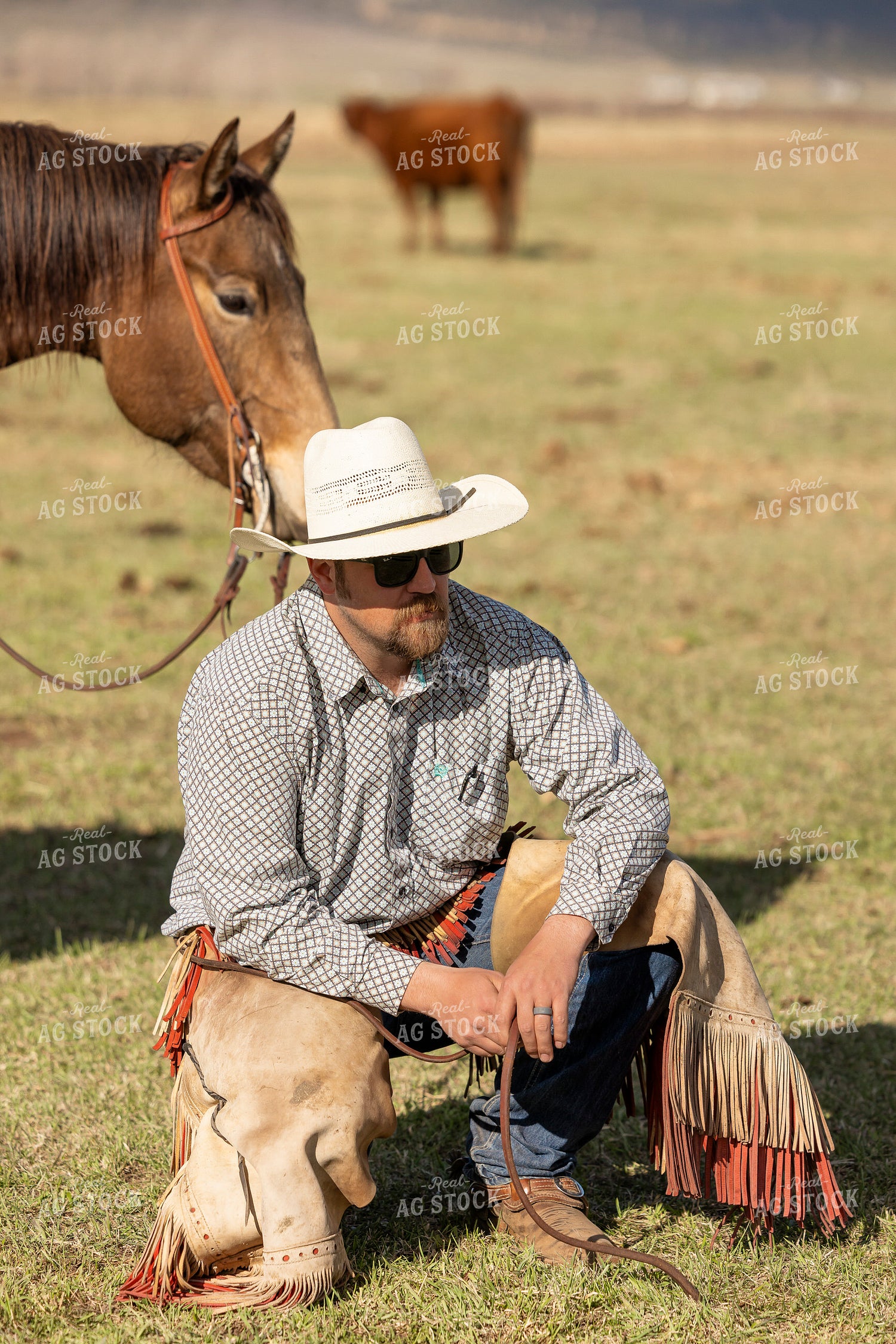 Rancher and Horse 200057