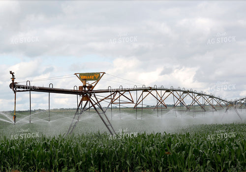 Irrigating Corn Field 141609