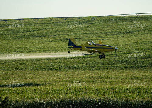 Crop Duster Spraying Corn 65044