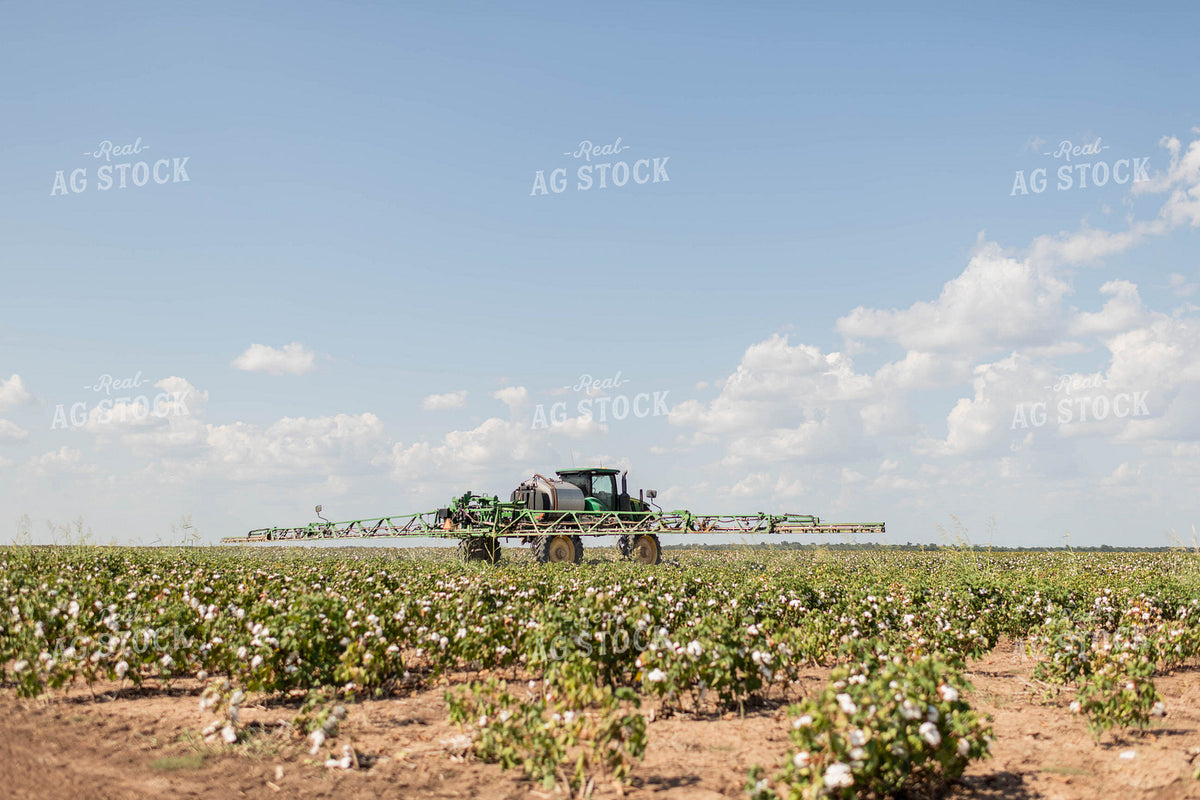 Spraying Cotton 59121