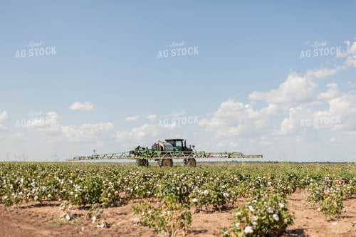 Spraying Cotton 59121