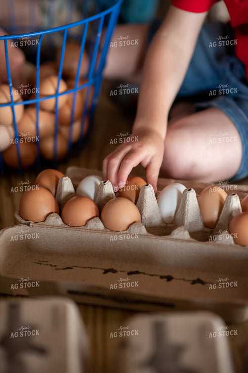 Collecting Eggs 76524