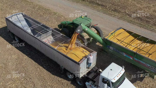 Corn Harvest 79500