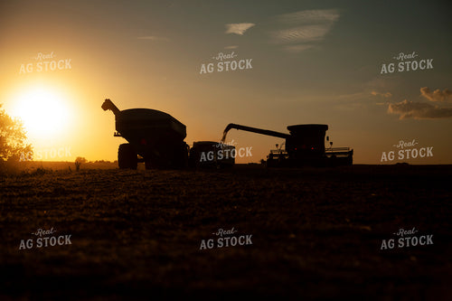 Harvest 1827