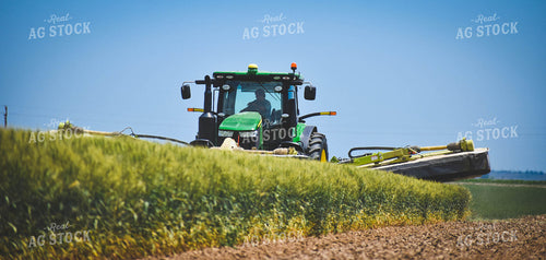 Cutting Wheat 56103