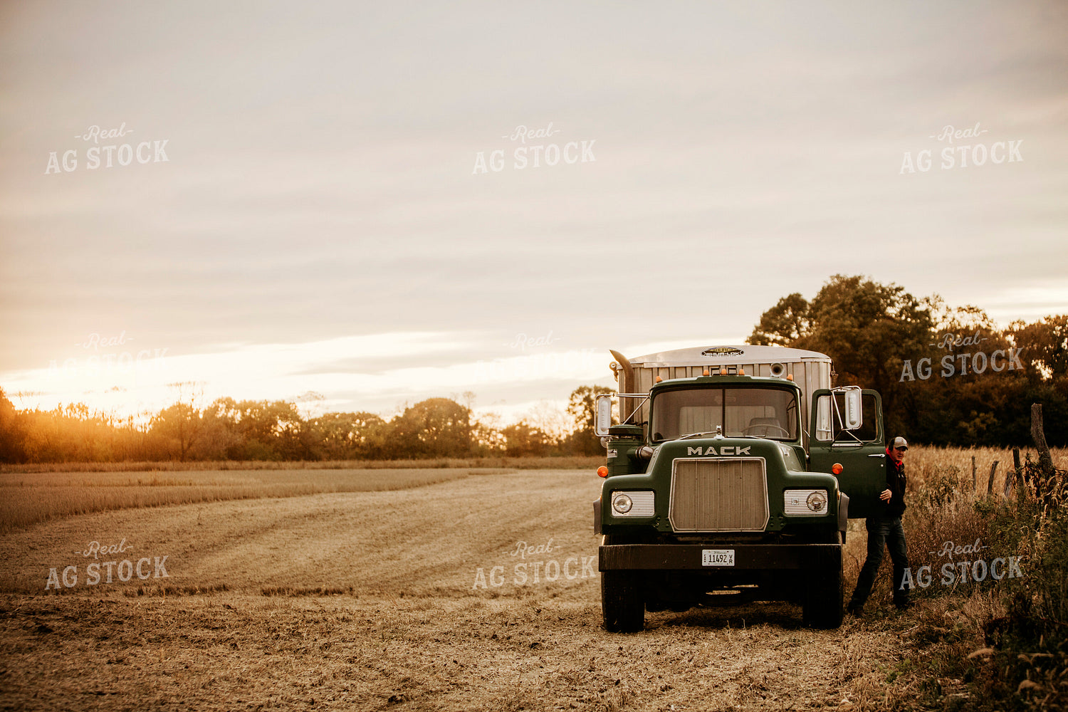 Harvest 2636