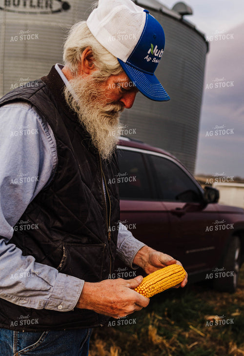 Farmer Holding Ear of Corn 115160