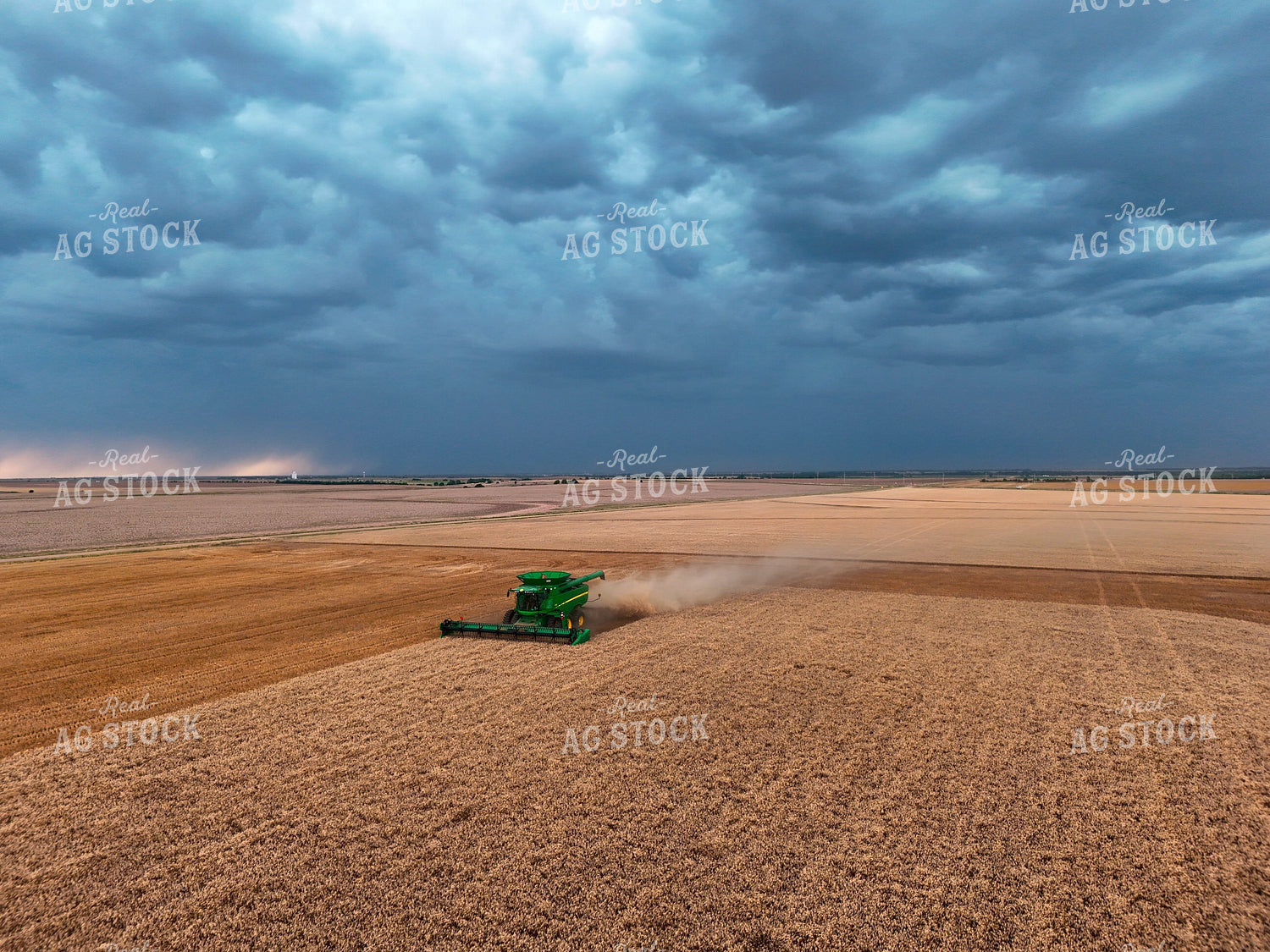 Harvesting Wheat 239597