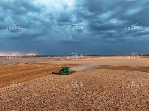 Harvesting Wheat 239597