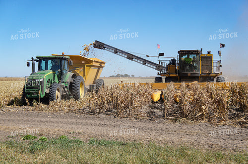 Silage Harvest 156048