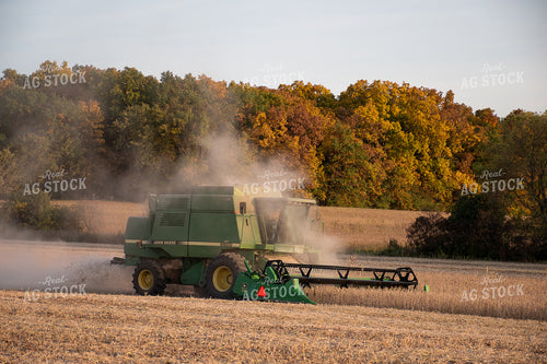 Soybean Harvest 50301