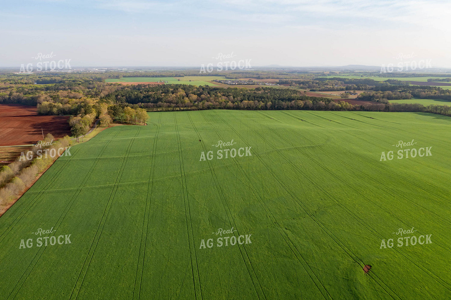 Aerial View of Farmland 79226