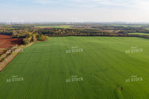 Aerial View of Farmland 79226