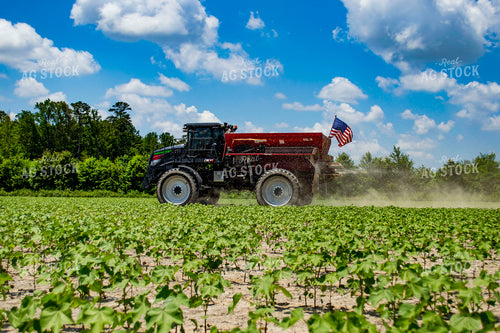 Spreading Dry Fertilizer in Cotton Field 136201