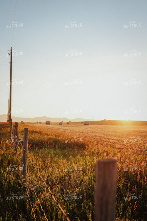 Hay Bales in Foothills 83085