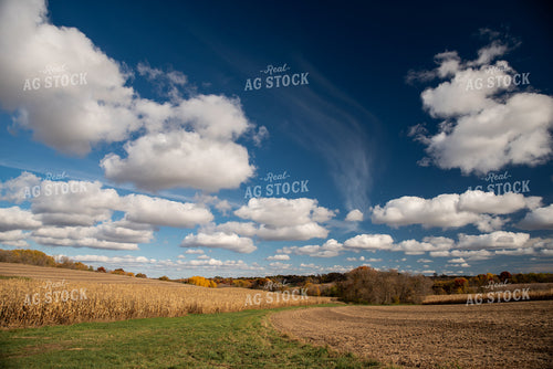 Fall Landscape 76573