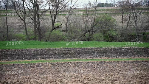 Planting into Tilled Cover Crops - 187