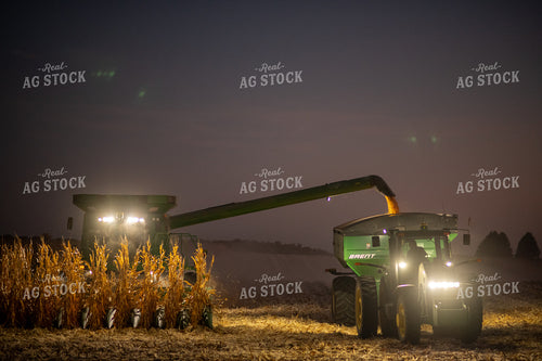 Corn Harvest at Night 76349