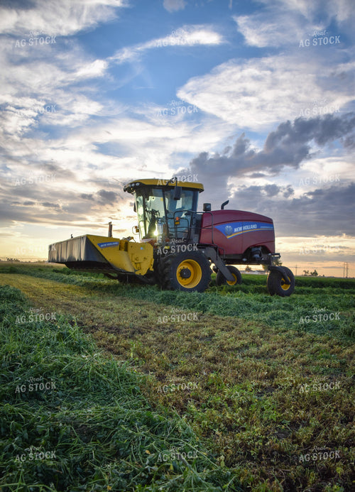Cutting Alfalfa Hay  56339