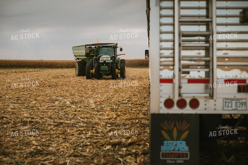 Corn Harvest 6592