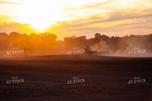 Planting at Sunset 132038