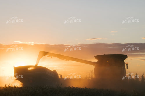 Nebraska Corn Harvest 70006