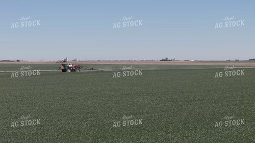Spraying Winter Wheat 239577